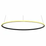 Подвесной светильник Arte Lamp 2500 A2500SP-1BK 