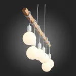 Подвесной светильник EVOLUCE Bagetti SL1142.503.06 от ImperiumLoft