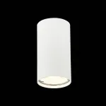 Накладной светильник ST-Luce Simplus ST110.507.01 Цвет плафонов белый Цвет арматуры белый