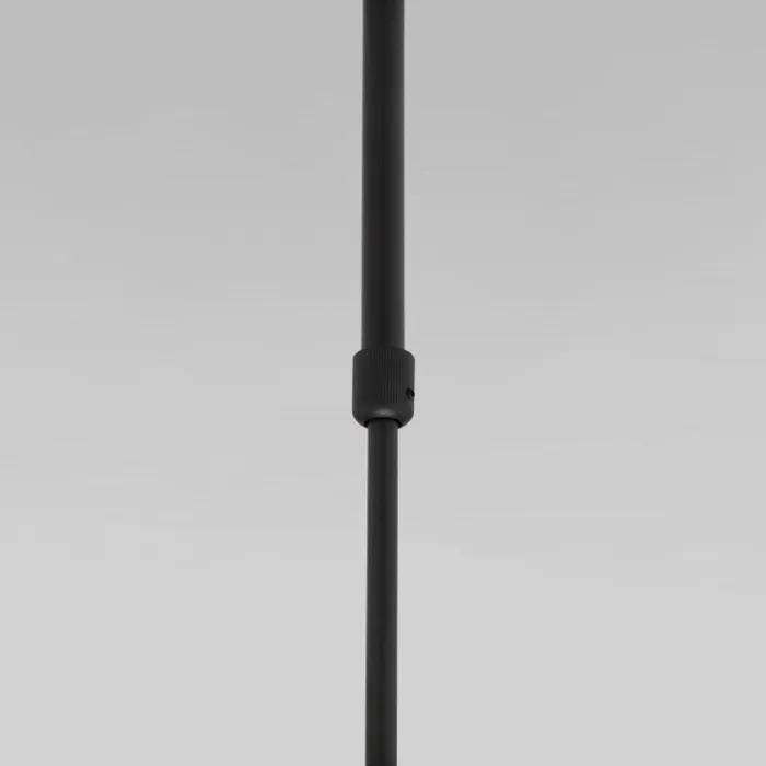 Светильник на штанге Eurosvet Pacific 50255/1 черный от ImperiumLoft