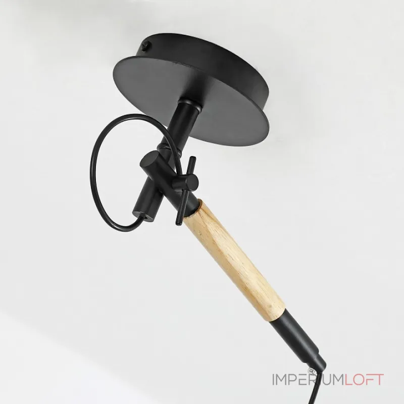 Подвесной светильник F-promo Eureka 3006-1P