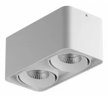 Накладной светильник Lightstar Monocco 212526