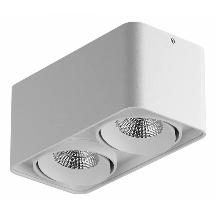 Накладной светильник Lightstar Monocco 212526 от ImperiumLoft