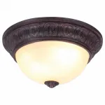 Потолочный светильник Arte Lamp Piatti A8007PL-2CK 