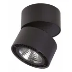 Светильник на штанге Lightstar Forte Muro 214837