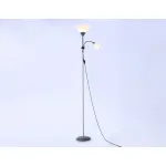Торшер с подсветкой Ambrella Floor TR TR97626 от ImperiumLoft