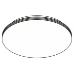 Потолочный светильник Citilux Симпла CL71424SV