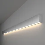 Накладной светильник Elektrostandard 101-100-40 a041484 Цвет арматуры серебро Цвет плафонов серебро