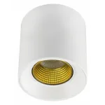 Накладной светильник Denkirs DK3020WYE DK3090-WH+YE Цвет плафонов белый