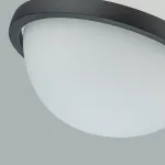 Подвесной светильник Favourite Ringar 4502-1P