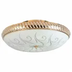 Потолочный светильник TopLight Davina TL1482Y-05GC 