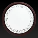 Потолочный светильник TopLight Citte TL9134Y-02OA 