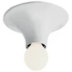 Накладной светильник Artemide A048120 от ImperiumLoft