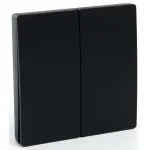 Выключатель беспроводной двухклавишный Feron Tm 82 41723 от ImperiumLoft