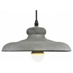 Подвесной светильник Arte Lamp Loft A5025SP-1BG 