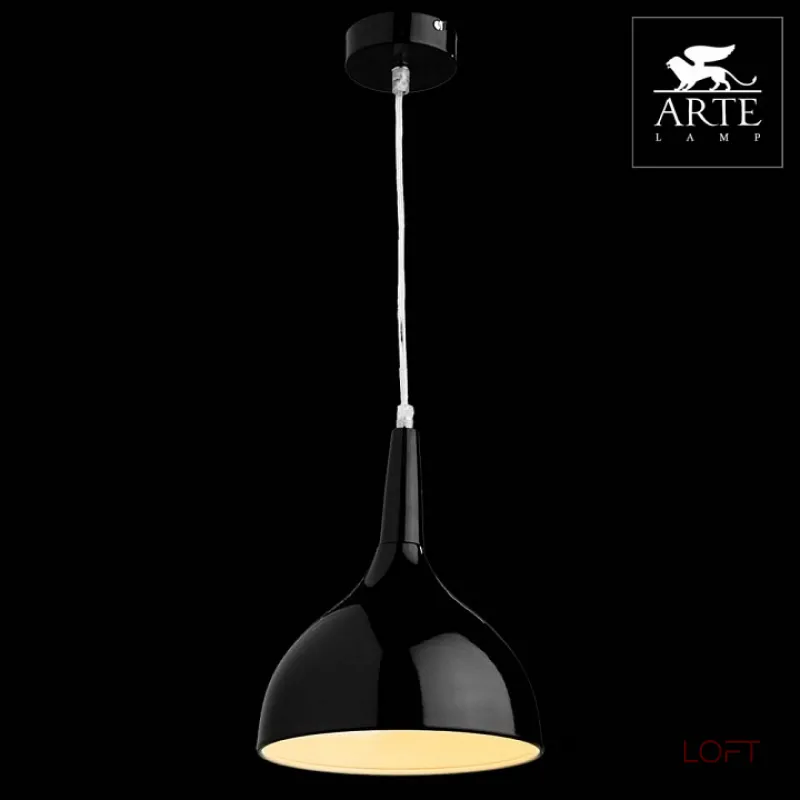 Подвесной светильник Arte Lamp Pendants 2 A9077SP-1BK 