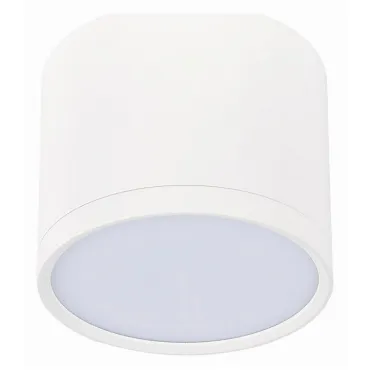 Накладной светильник ST-Luce Rene ST113.542.09 Цвет арматуры белый Цвет плафонов белый