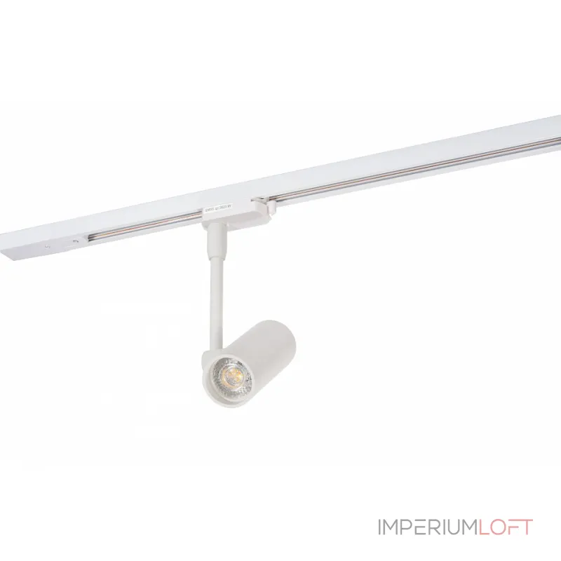 Светильник на штанге Denkirs DK620 DK6205-WH