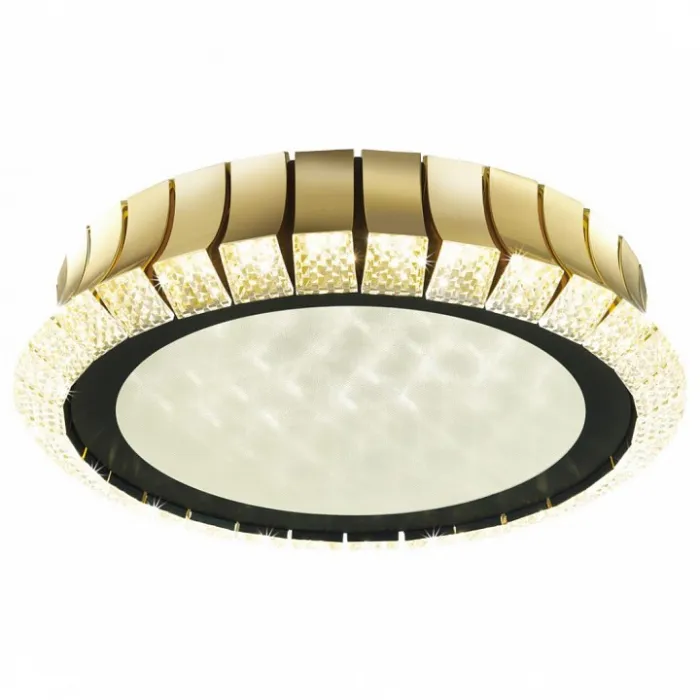 Накладной светильник Odeon Light Asturo 4994/75L от ImperiumLoft