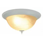 Потолочный светильник Arte Lamp Porch A1305PL-2WH 