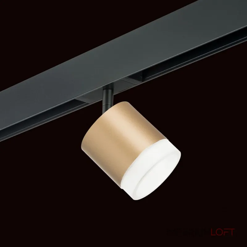Трековый светильник Lightstar Rullo PRO349080