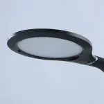 Настольная лампа офисная DeMarkt Ракурс 1 631035501 Цвет арматуры черный Цвет плафонов черно-белый от ImperiumLoft