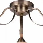 Потолочная люстра TopLight Olivia TL3750X-03AB 