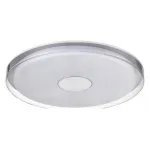 Потолочный светильник Vele Luce Flash VL7215L01 