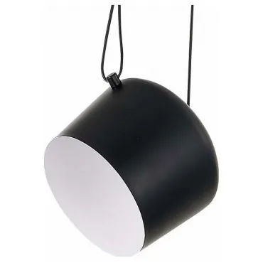 Подвесной светильник EVOLUCE Trieste SLE120643-01 Цвет арматуры черный Цвет плафонов черный