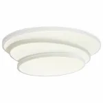 Накладной светильник Omnilux Comerio OML-01901-25 от ImperiumLoft