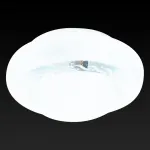 Потолочный светильник TopLight Felicia TL9580Y-02WH 