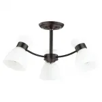 Потолочная люстра Lumion Wilma 4534/3C 