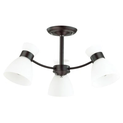 Потолочная люстра Lumion Wilma 4534/3C 