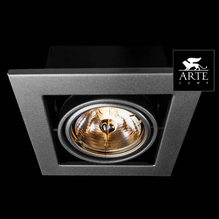 Встраиваемый светильник Arte Lamp Technika 2 A5930PL-1SI Цвет арматуры серебро Цвет плафонов серебро от ImperiumLoft