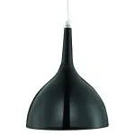 Подвесной светильник Arte Lamp Pendants 2 A9077SP-1BK 