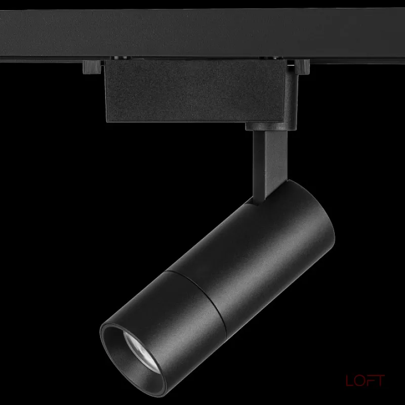 Светильник на штанге Lightstar Volta 229137 Цвет плафонов черный