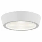 Накладной светильник Lightstar Urbano 214902 Цвет арматуры белый