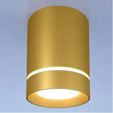 Накладной светильник Elektrostandard DLR021 a049492 Цвет плафонов золото Цвет арматуры золото