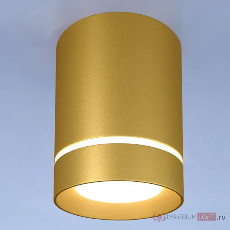 Накладной светильник Elektrostandard DLR021 a049492 Цвет плафонов золото Цвет арматуры золото от ImperiumLoft