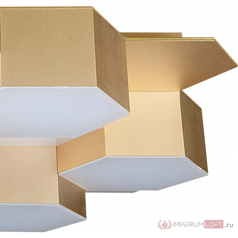 Накладной светильник Lightstar Favo LED 750163 Цвет арматуры золото от ImperiumLoft