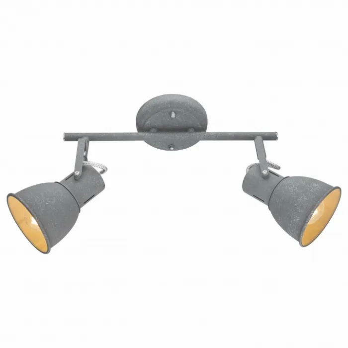 Спот Arte Lamp 1677 A1677PL-2GY Цвет арматуры серый Цвет плафонов серый от ImperiumLoft