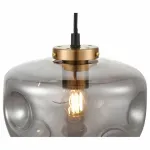 Подвесной светильник Vele Luce Alieno 742 VL5352P21 