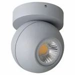 Накладной светильник Lightstar Globo LED 051009 Цвет арматуры серый Цвет плафонов серый от ImperiumLoft