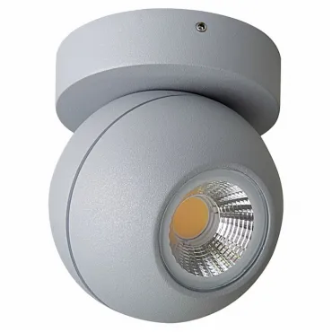 Накладной светильник Lightstar Globo LED 051009 Цвет арматуры серый Цвет плафонов серый