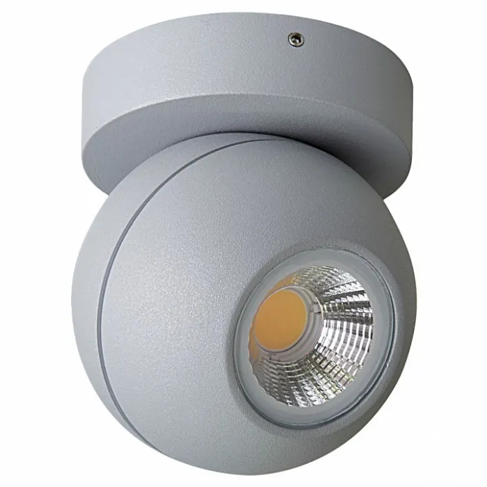Накладной светильник Lightstar Globo LED 051009 Цвет арматуры серый Цвет плафонов серый от ImperiumLoft