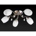 Потолочная люстра TopLight Paula TL3550X-05SN 