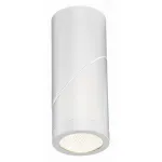 Светильник на штанге ST-Luce ST650 ST650.542.10
