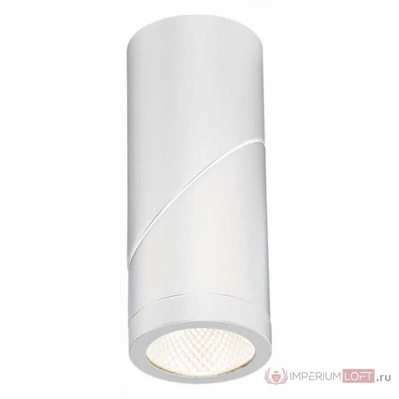 Светильник на штанге ST-Luce ST650 ST650.542.10 от ImperiumLoft