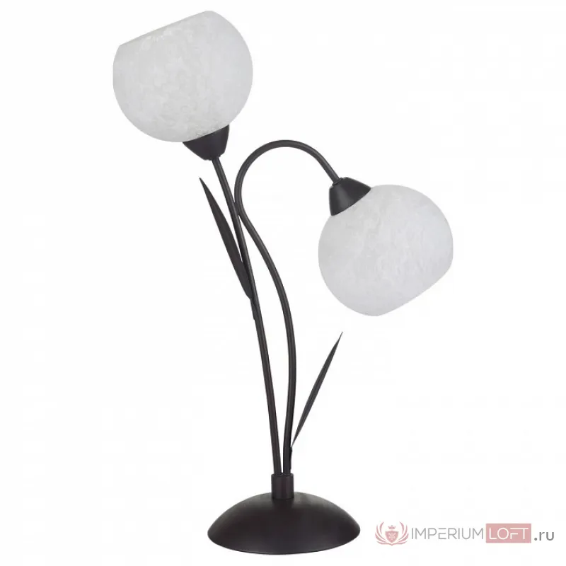 Настольная лампа декоративная Lussole Bagheria GRLSF-6294-02 от ImperiumLoft