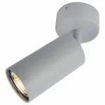 Спот Arte Lamp 3216 A3216PL-1GY Цвет арматуры серый Цвет плафонов серый